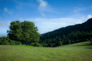 Hike through Wunderlich County Park 