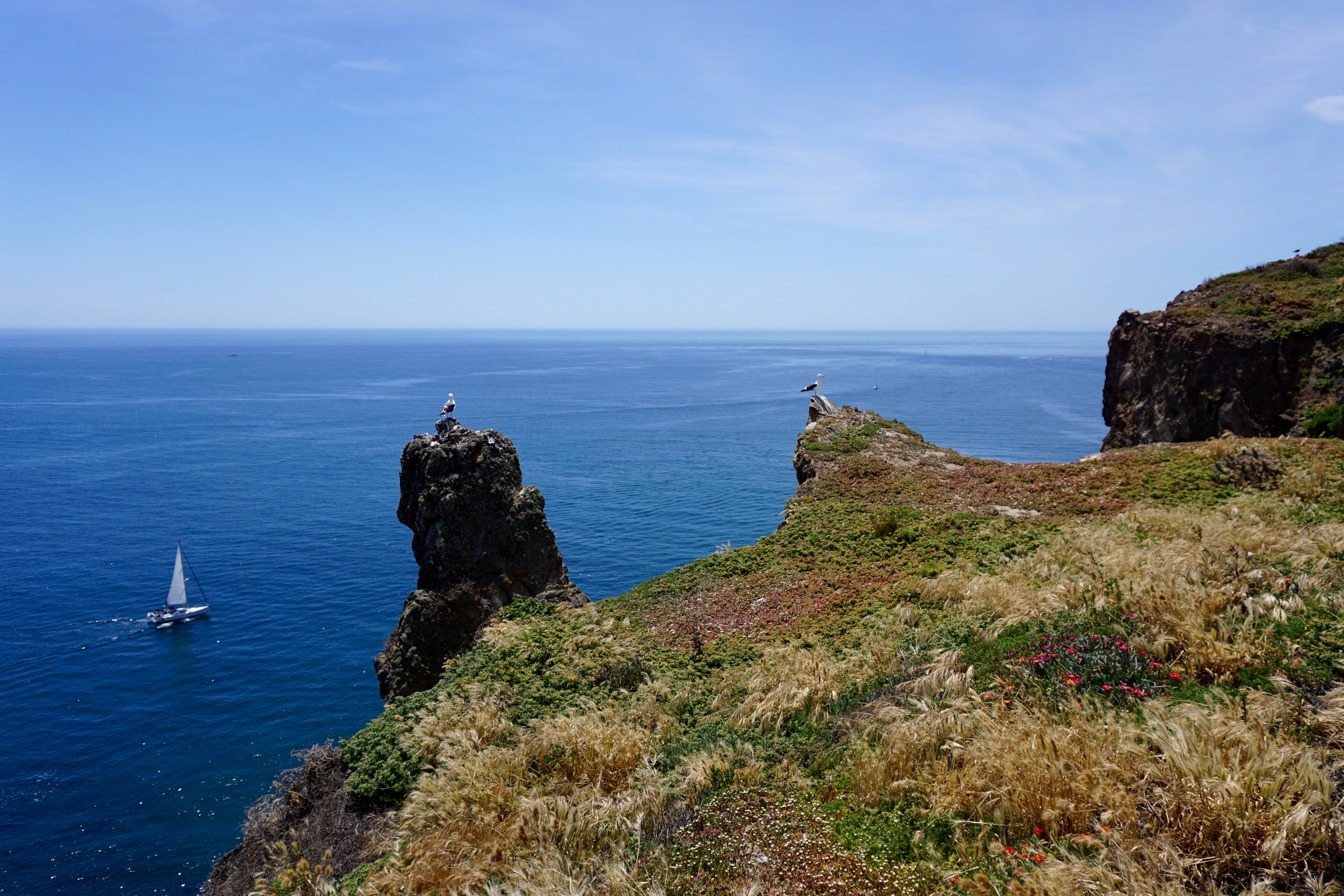 East Anacapa Island Loop