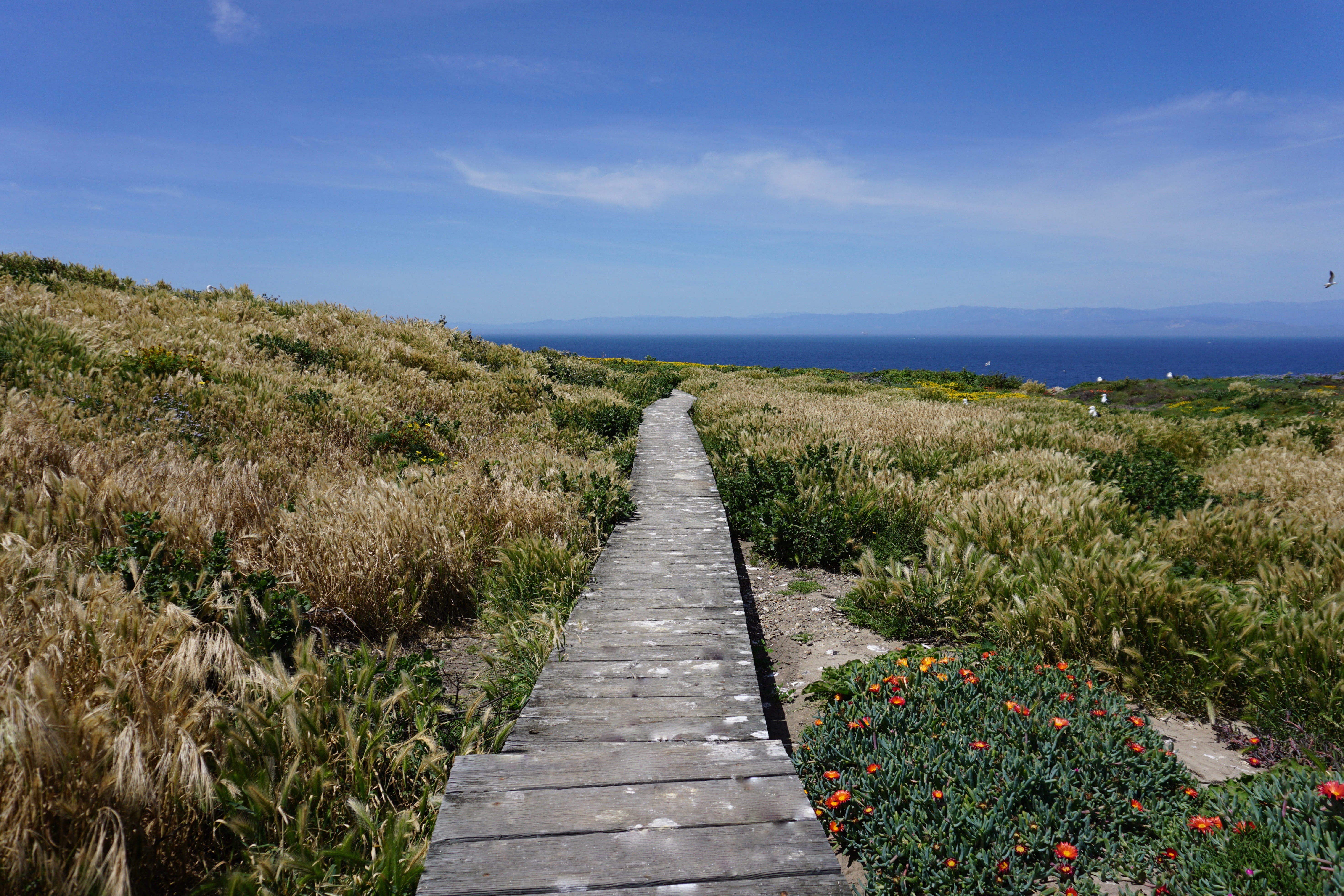 East Anacapa Island Loop