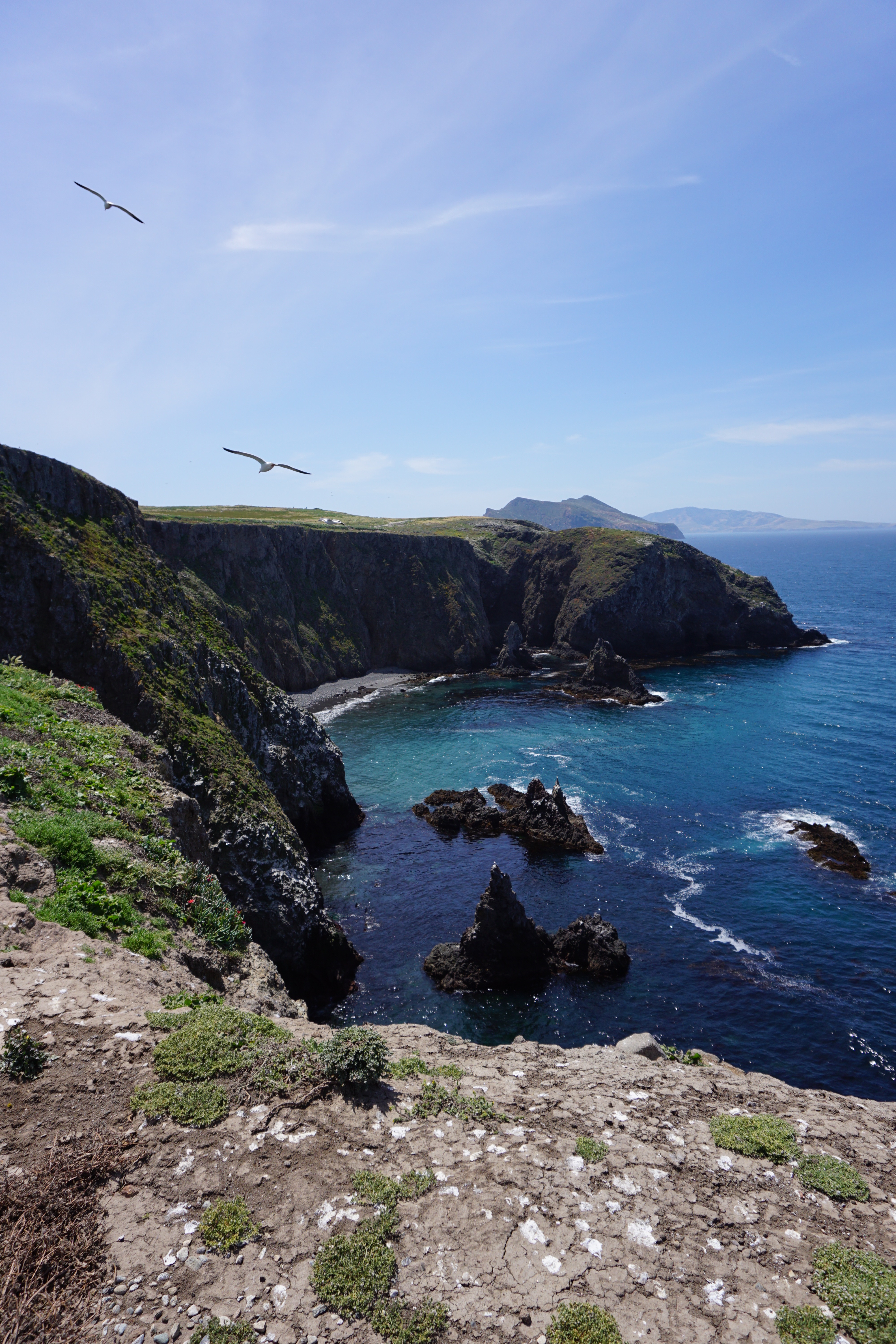 East Anacapa Island Loop