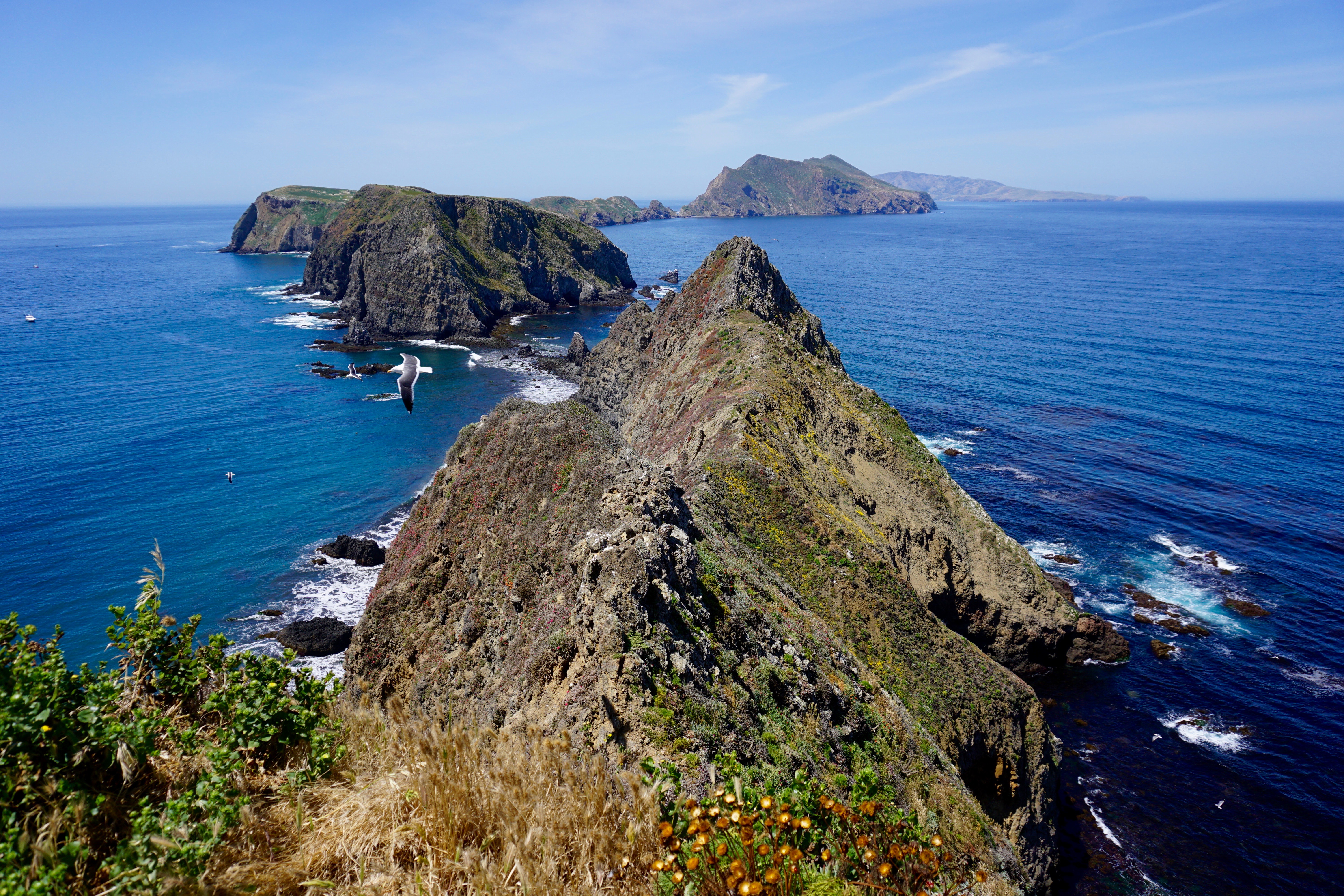 East Anacapa Island Loop
