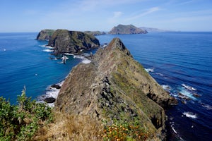 Hike East Anacapa Island of the Channel Islands