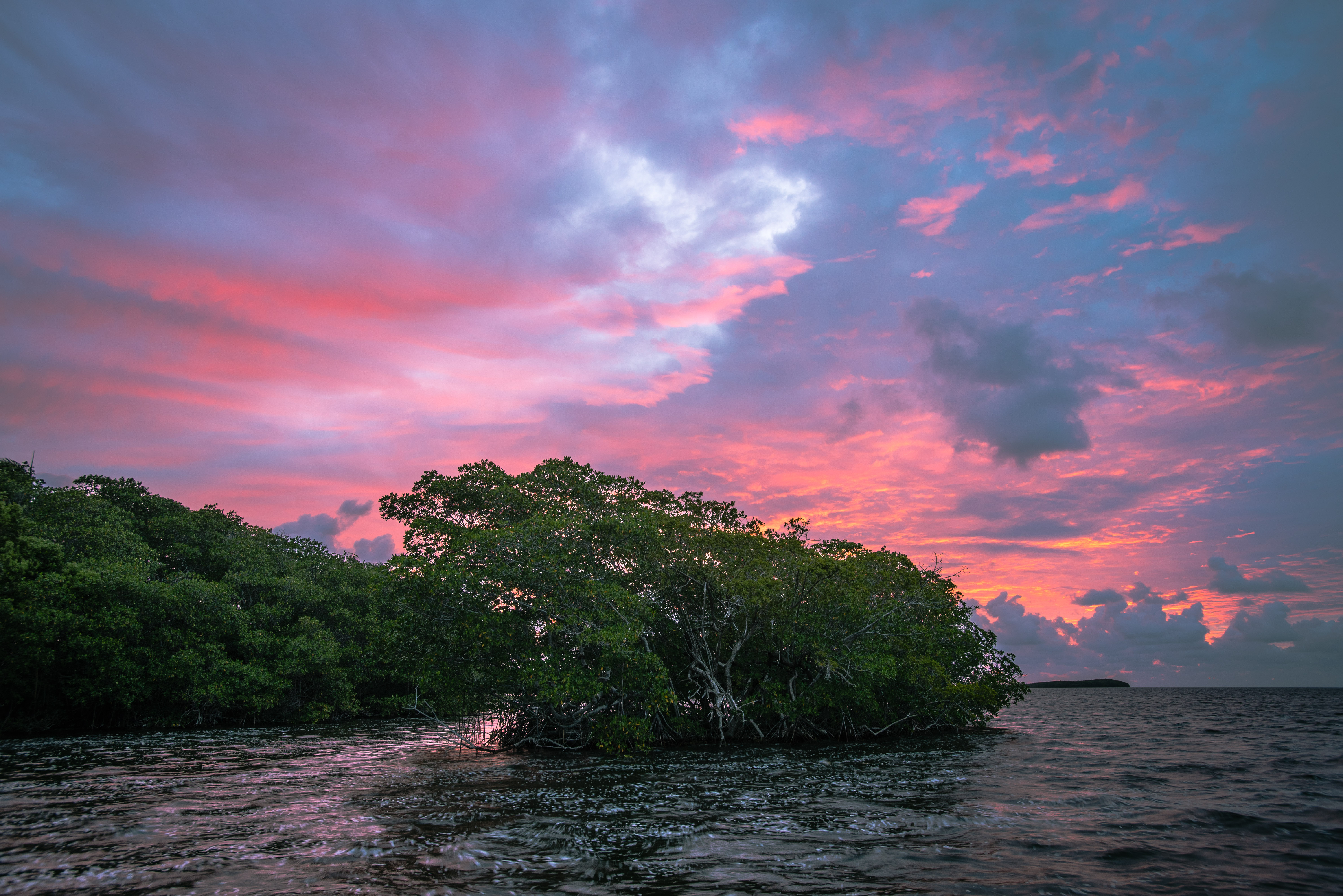 Deering Estate People's Dock