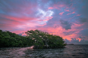 Watch the Sunrise at the Deering Estate People's Dock