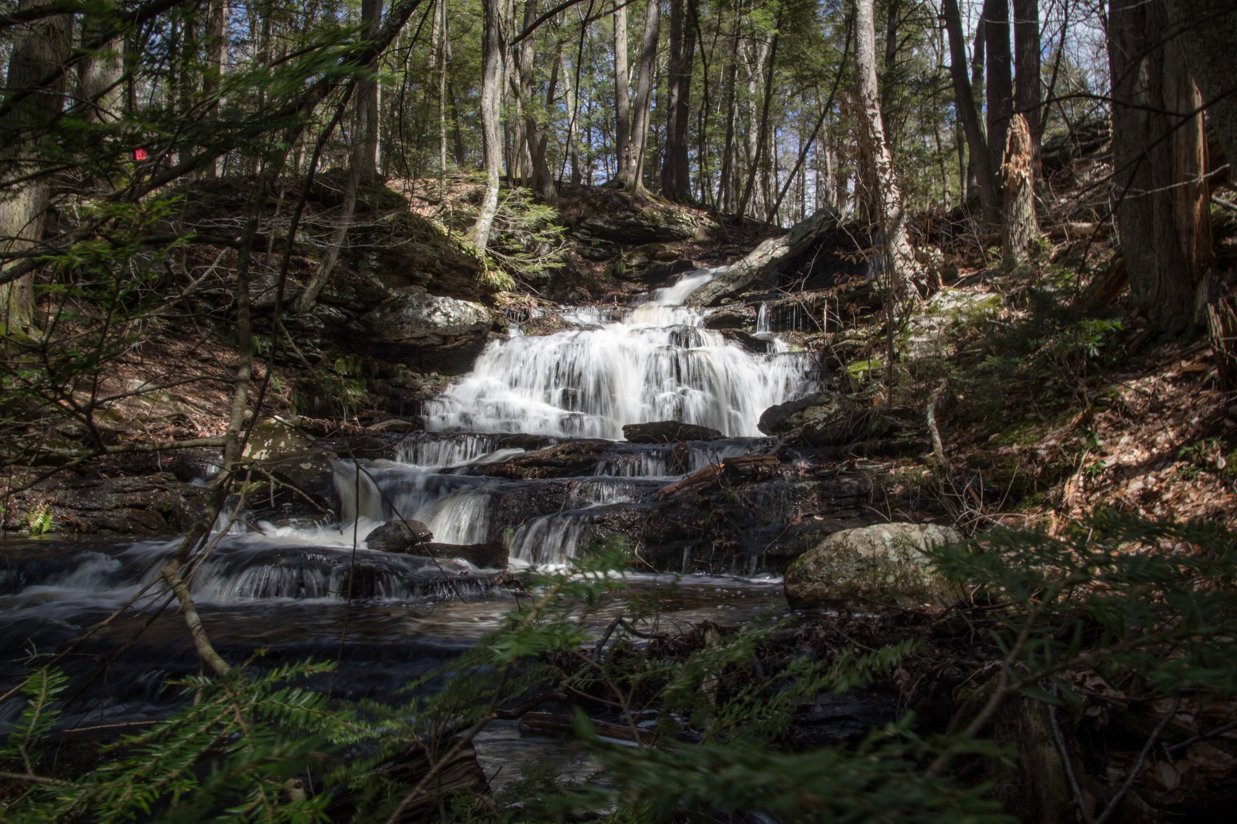 Hike the Salmon River Trail, CT, Colchester, Connecticut