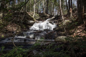 Hike the Salmon River Trail, CT