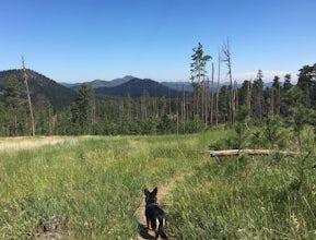 Hike Willow Creek Trail