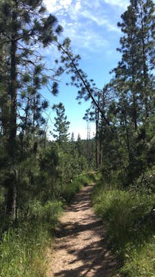 Hike Willow Creek Trail