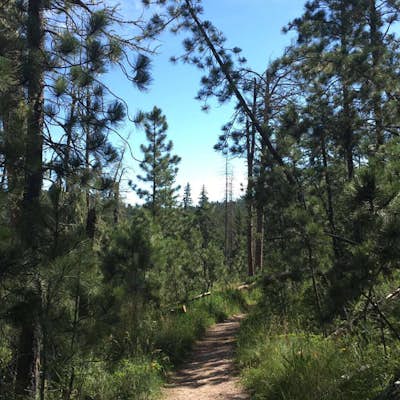 Hike Willow Creek Trail