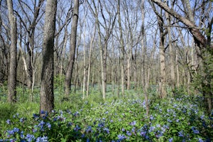 Hike Robinson Bird Sanctuary