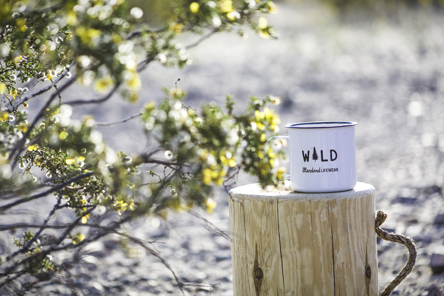 Dispersed Camp at Old Dale Mining District