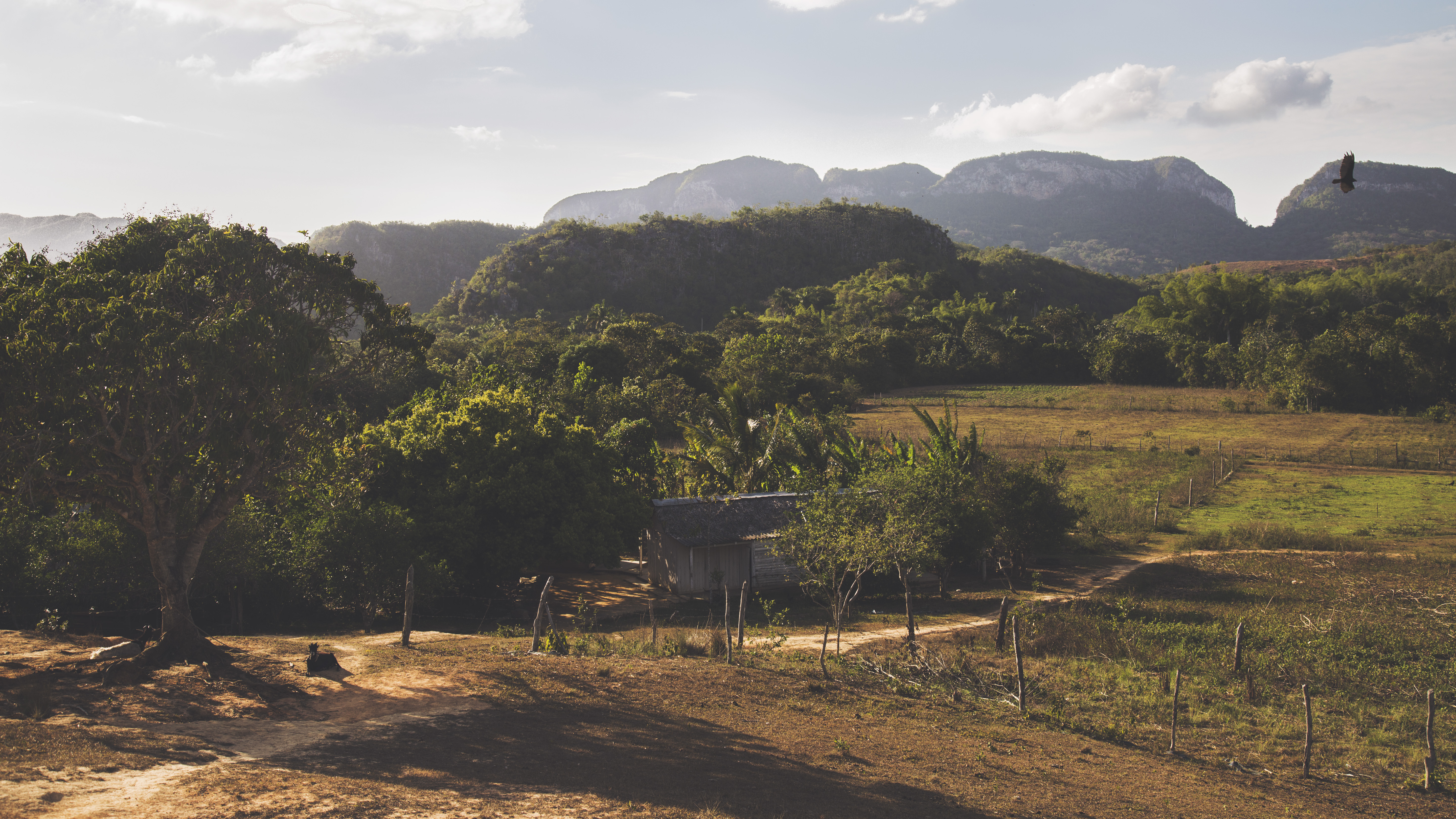 Explore the Viñales Valley