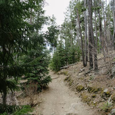 Hike the Evergreen Mountain Loop