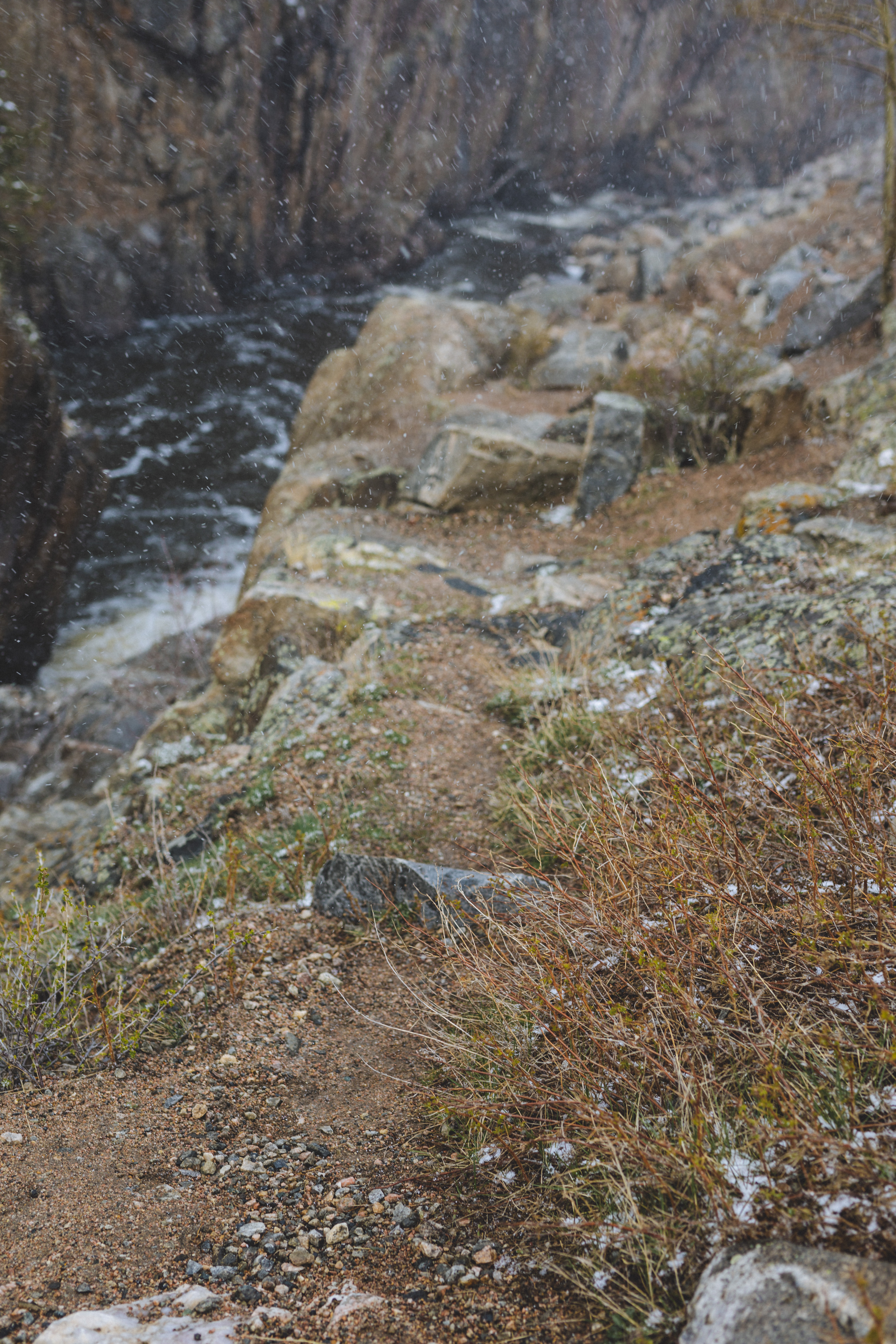Photograph Poudre Falls