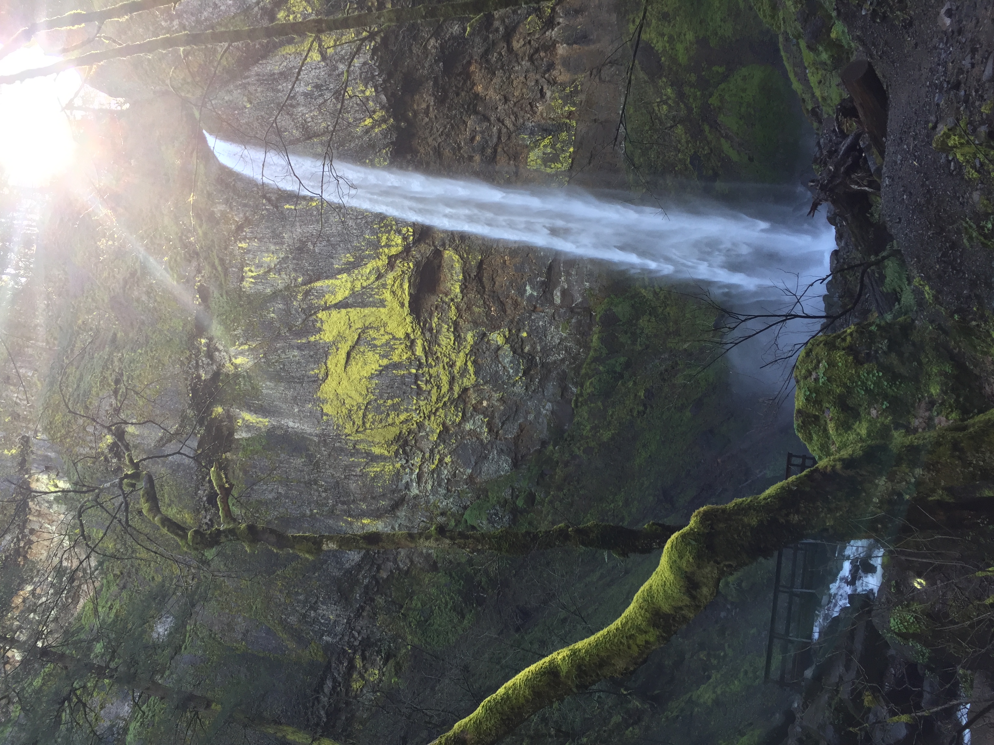 Elowah Falls