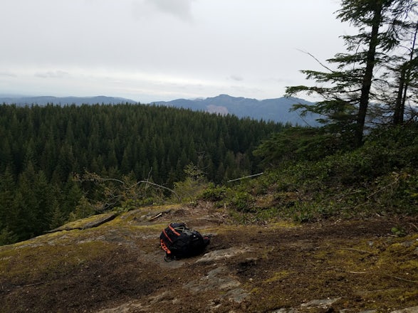 A Spring PNW hike to remember