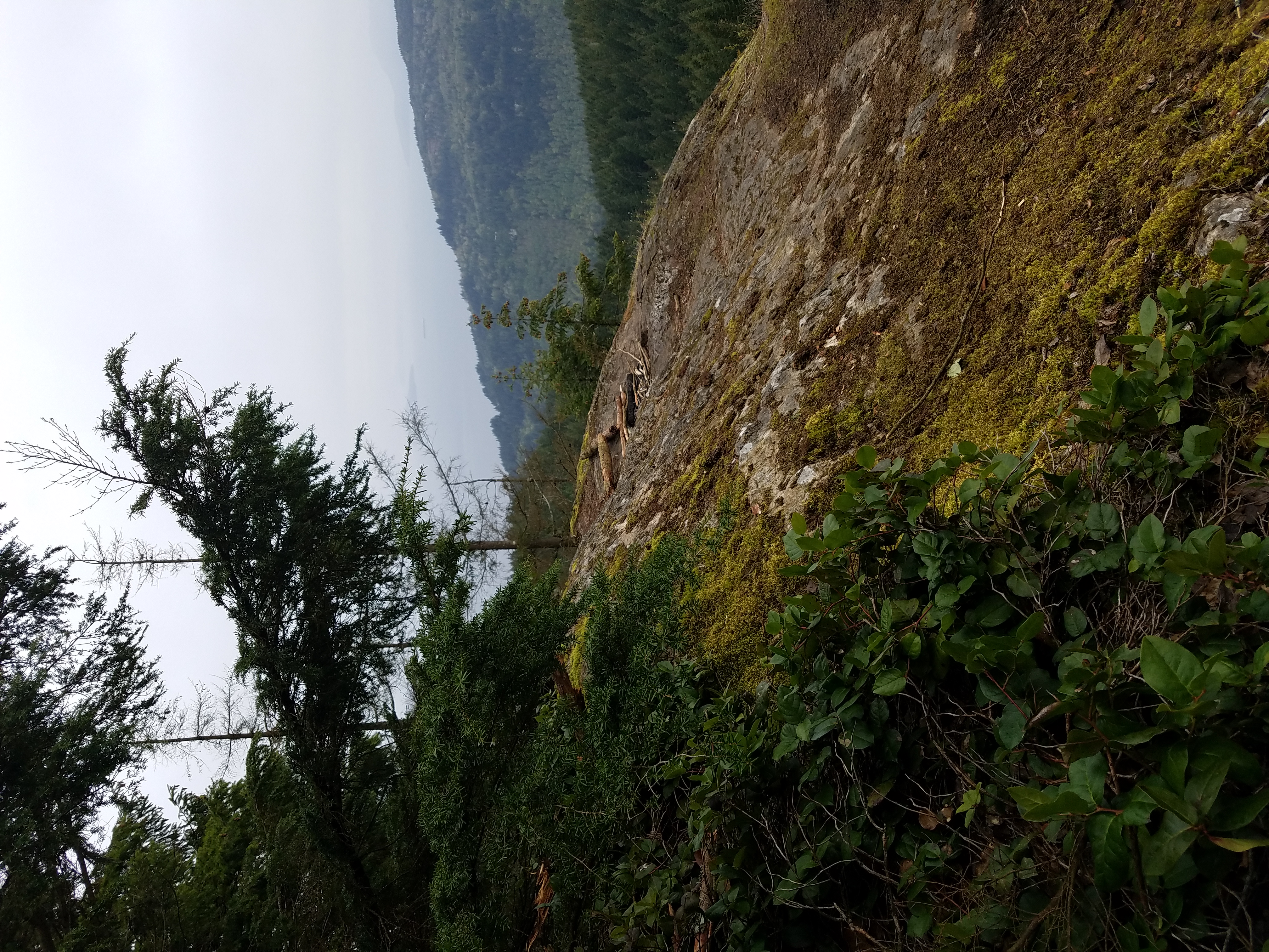 North Butte via Chuckanut Trail