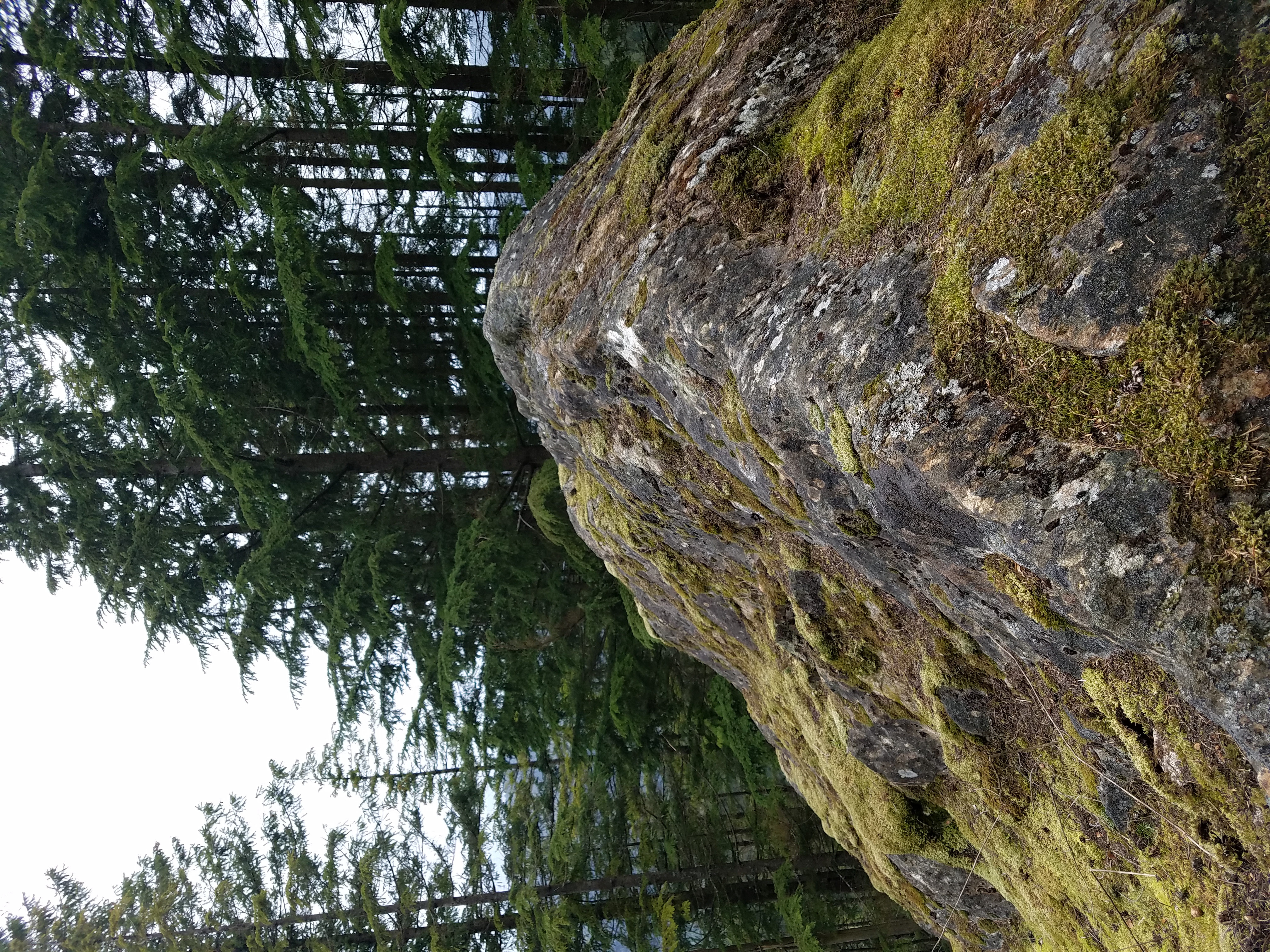 North Butte via Chuckanut Trail