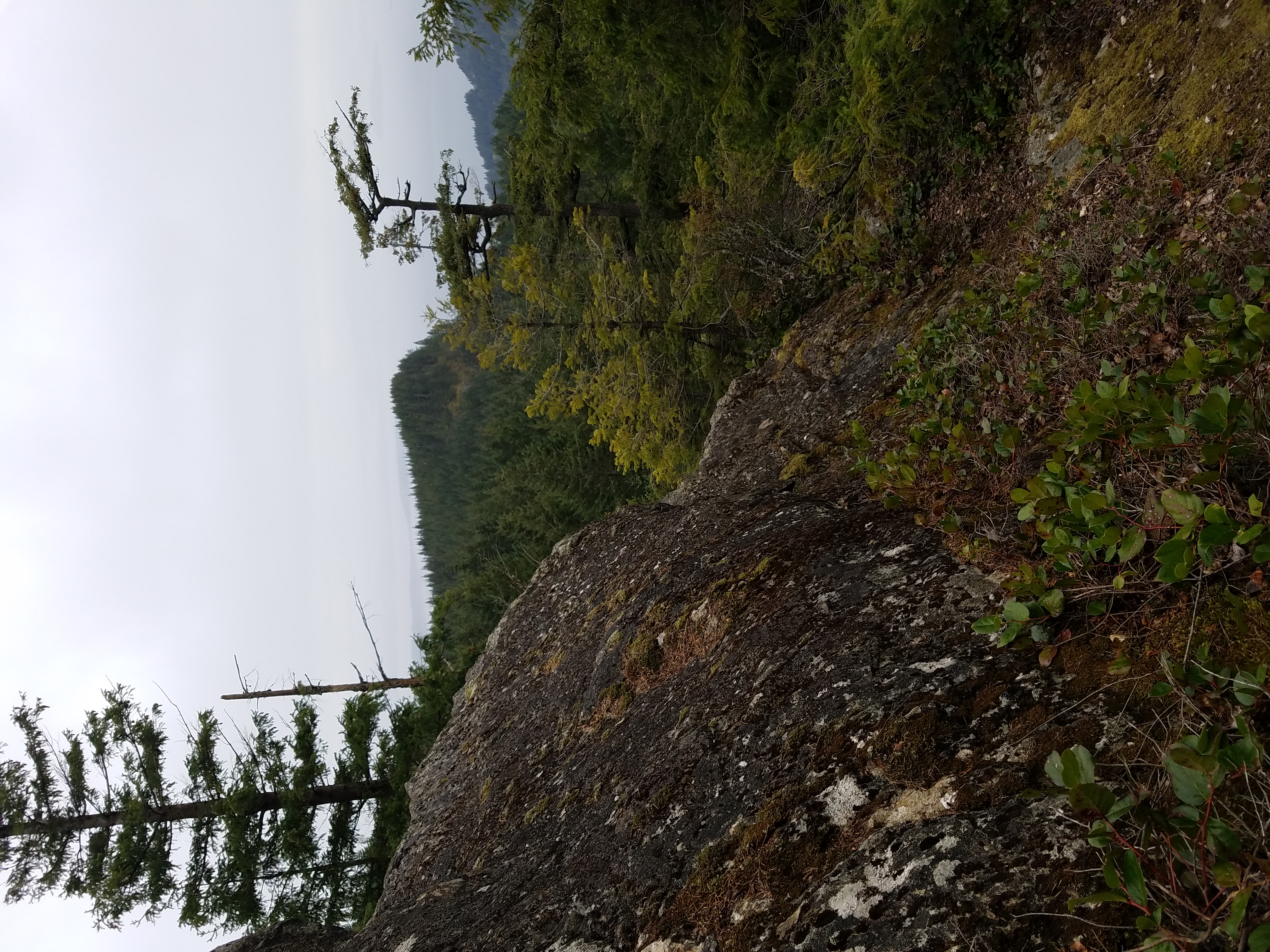 North Butte via Chuckanut Trail