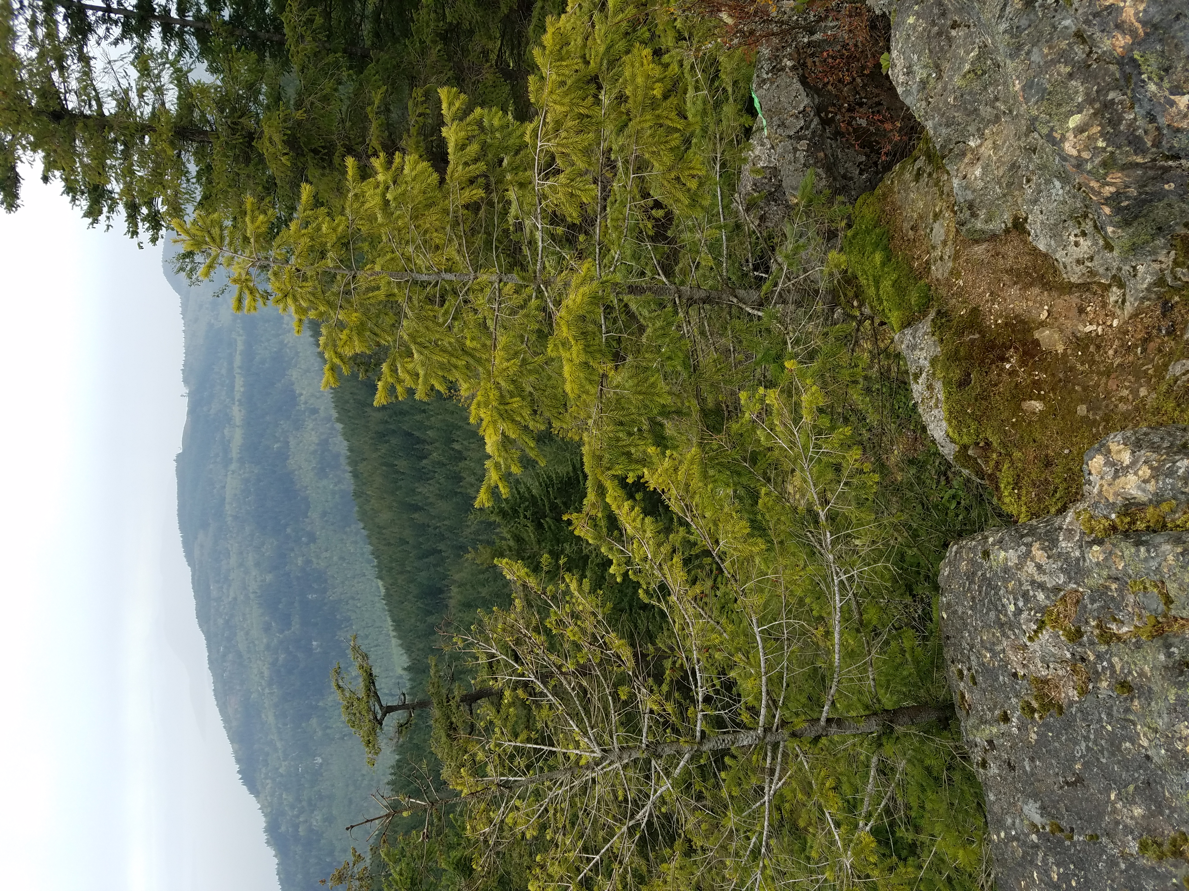 North Butte via Chuckanut Trail