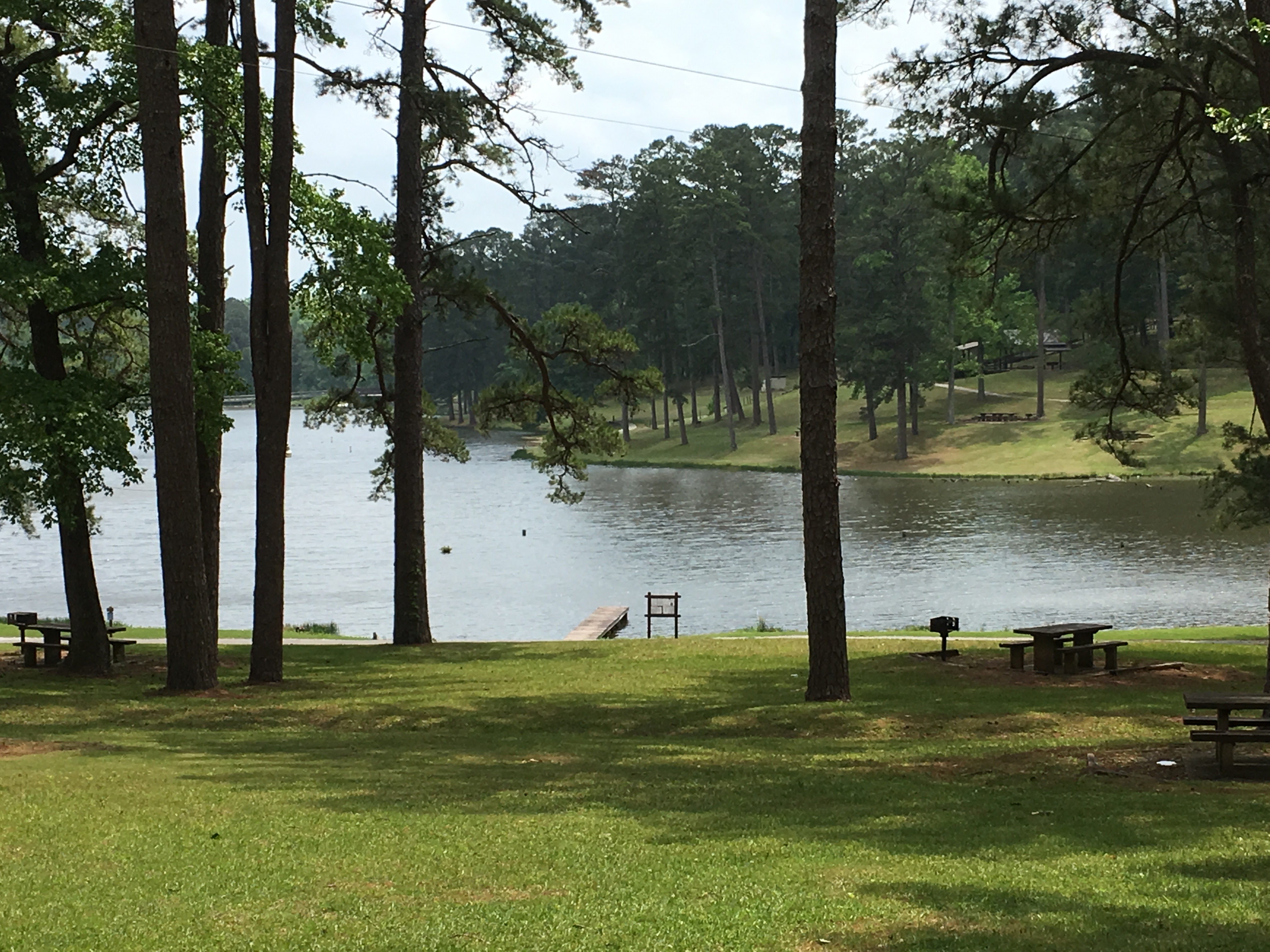 The best Trails and Outdoor Activities in and near Ackerman, Mississippi