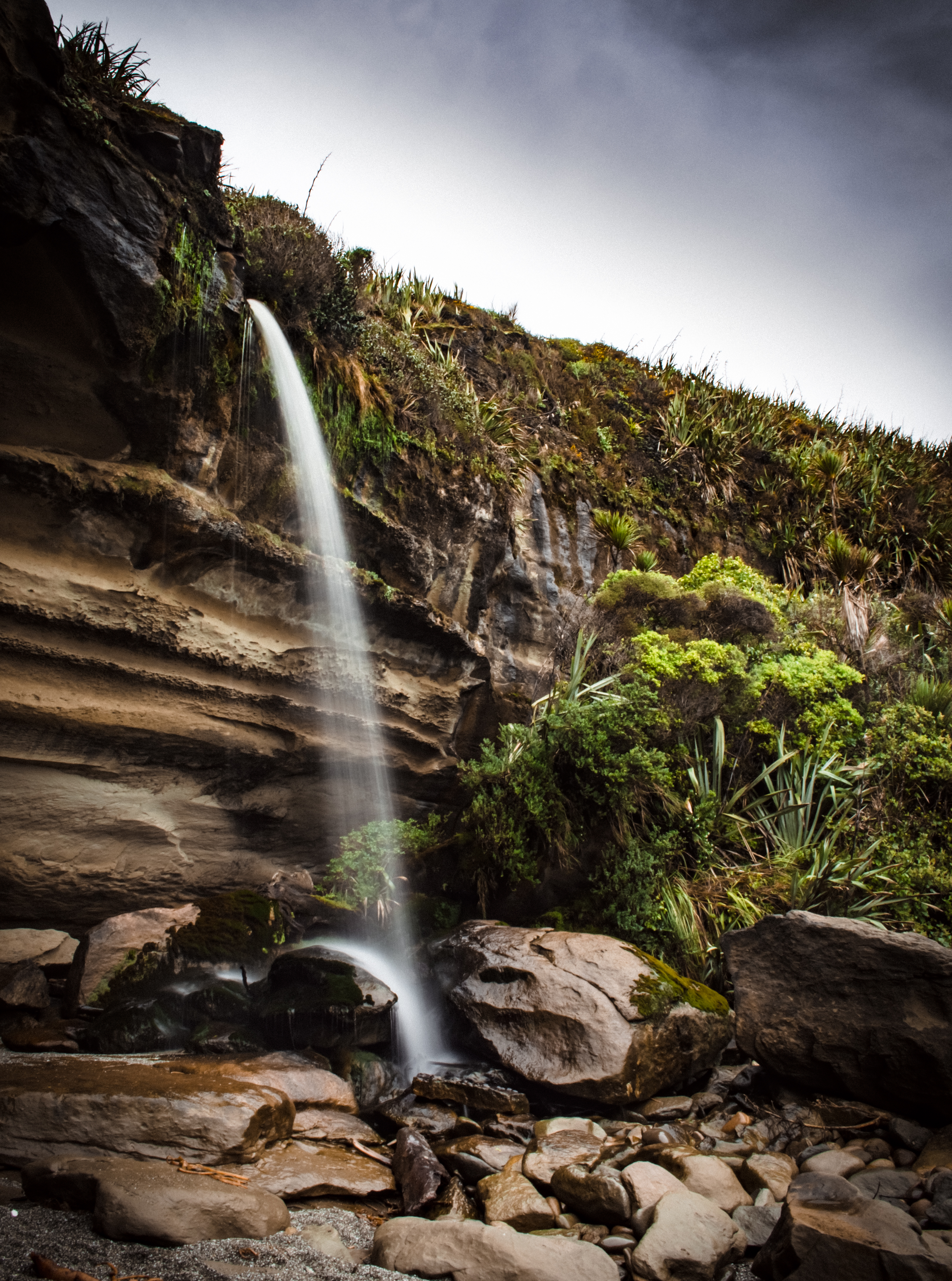 Walk the Truman Track in Paparoa National Park
