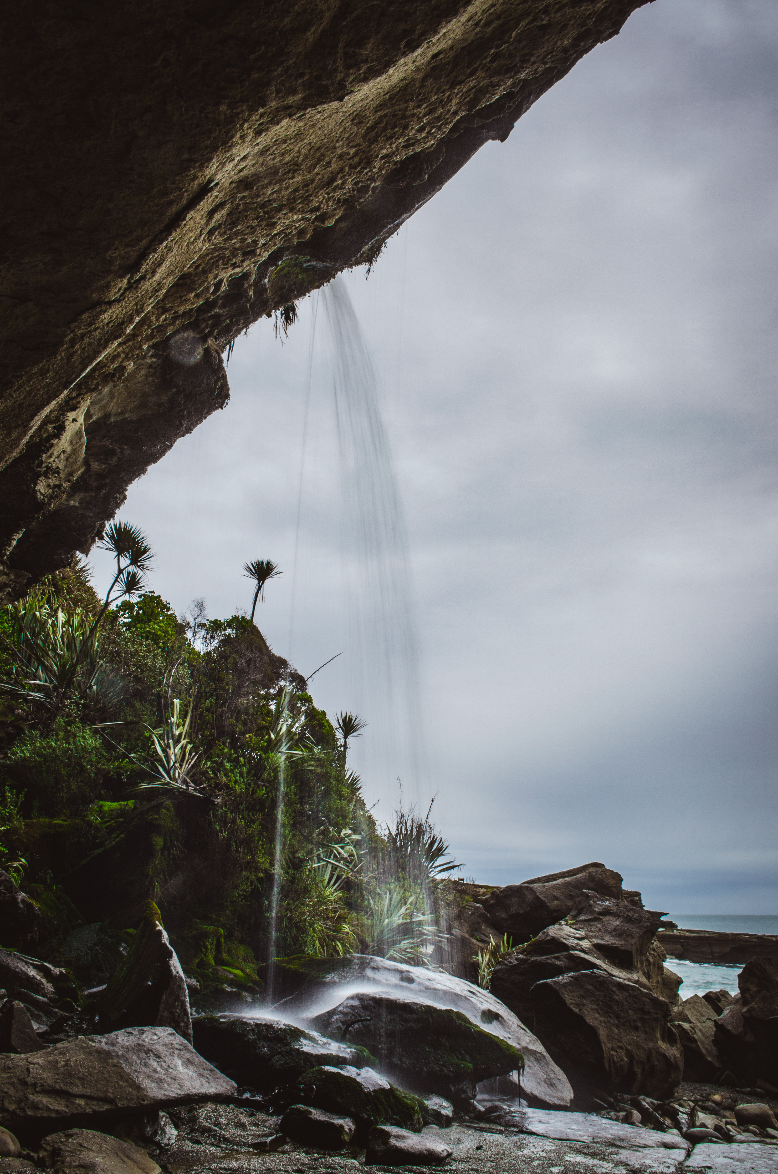 Walk the Truman Track in Paparoa National Park