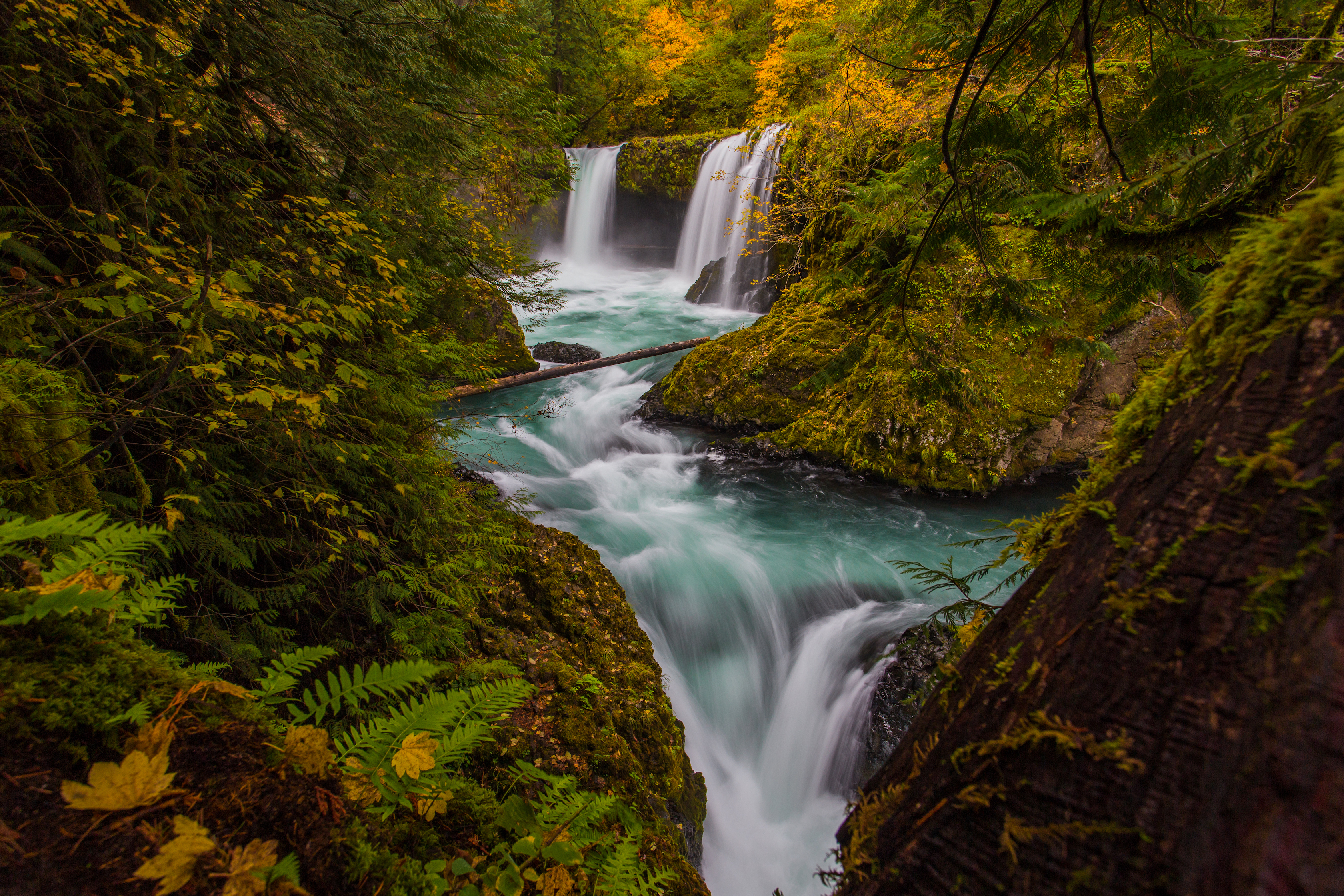 Why The Columbia River Gorge Is Better Than A National Park   359f1263324b4138e3a4d17b03d70e4e