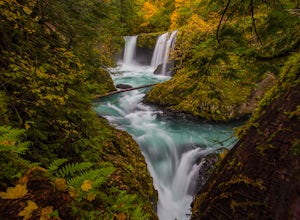 Why the Columbia River Gorge Is Better Than a National Park