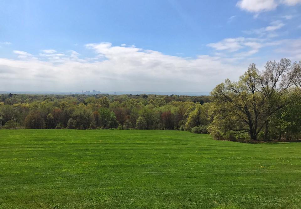 Explore Wickham Park