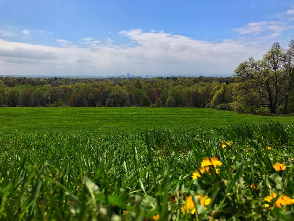 Explore Wickham Park