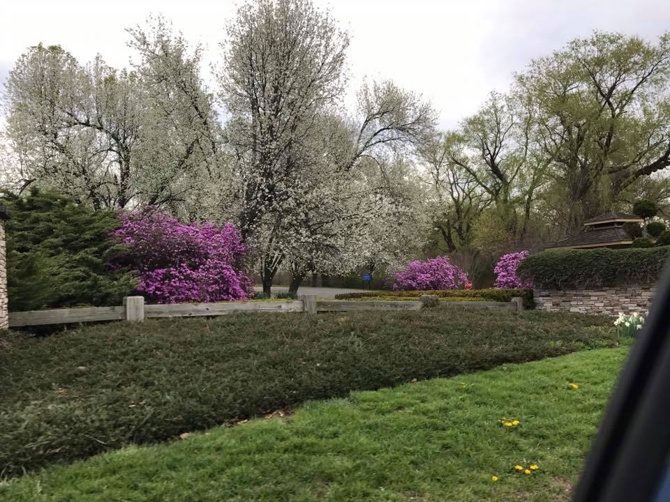 Explore Wickham Park