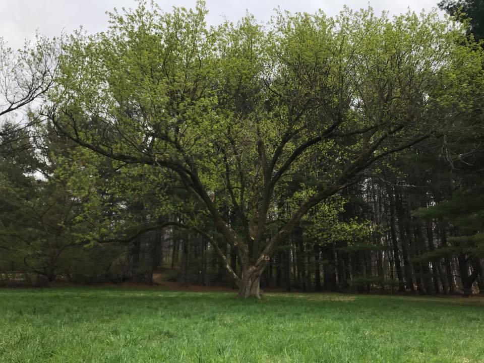 Explore Wickham Park