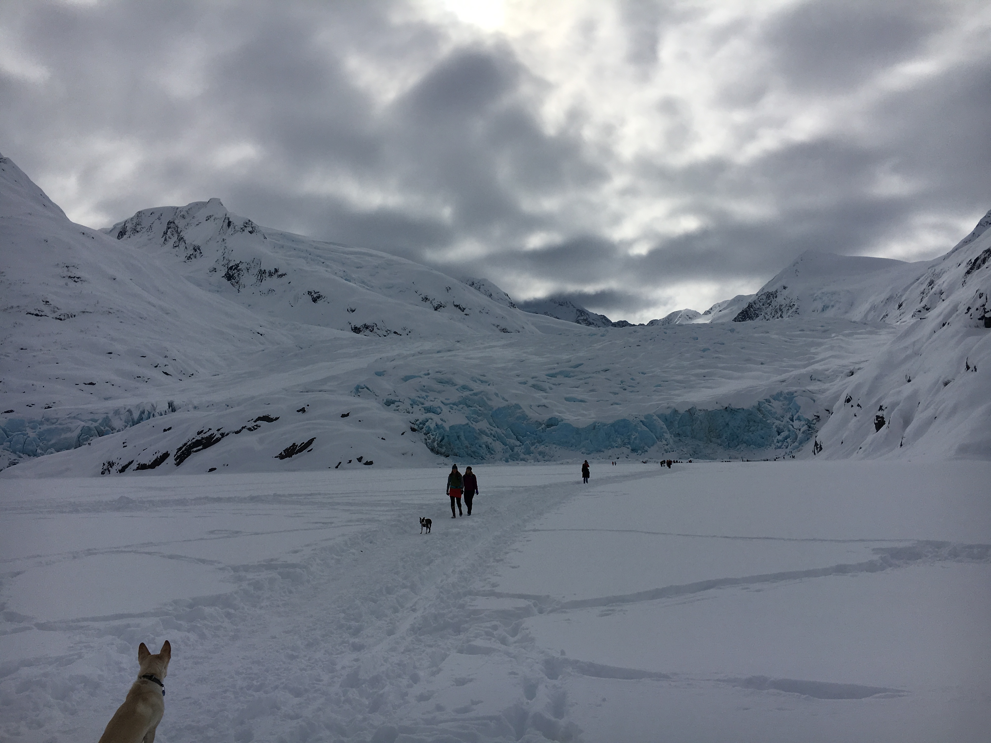 Winter Hike to Portage Glacier