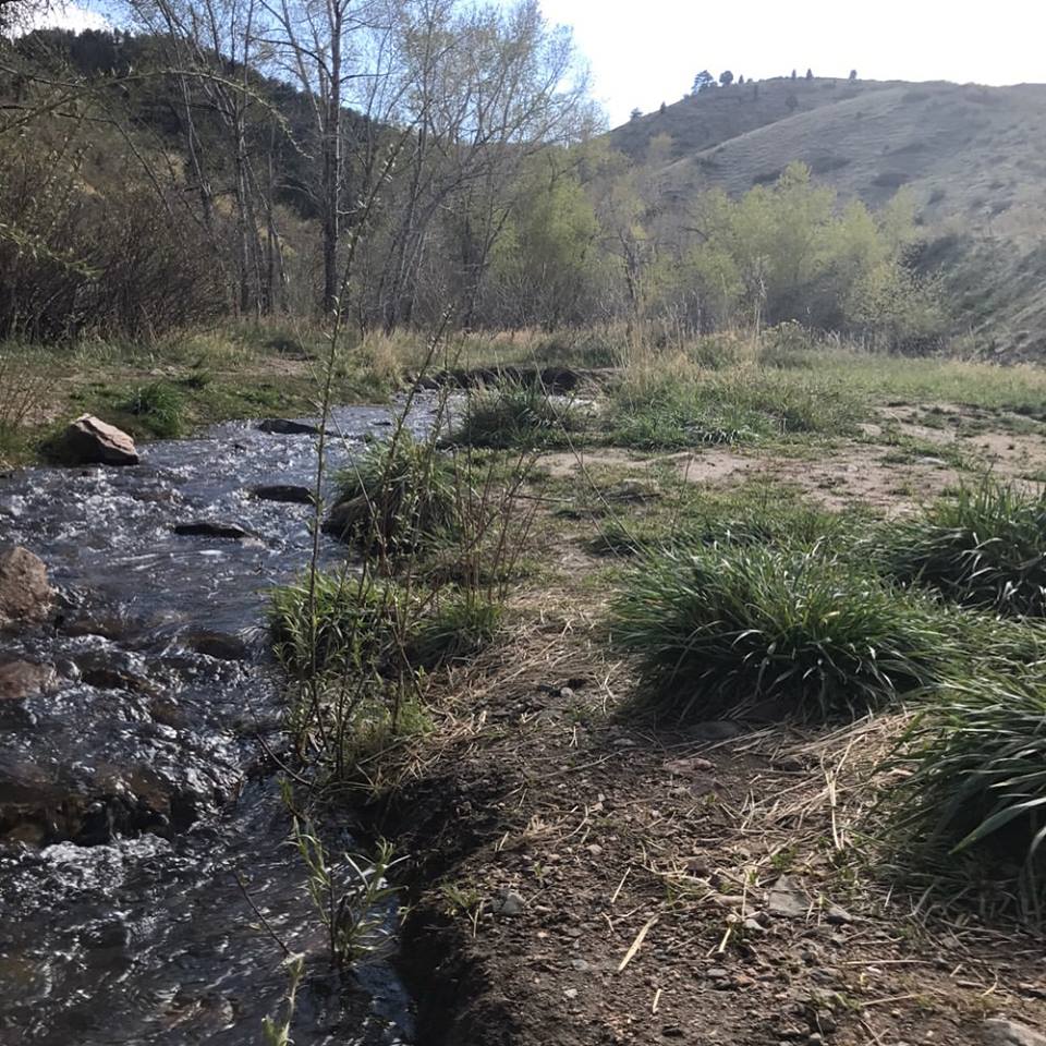 Mount Galbraith Loop via Cedar Gulch