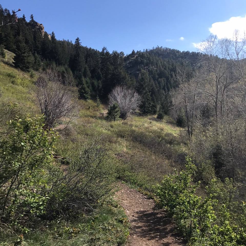 Mount Galbraith Loop via Cedar Gulch