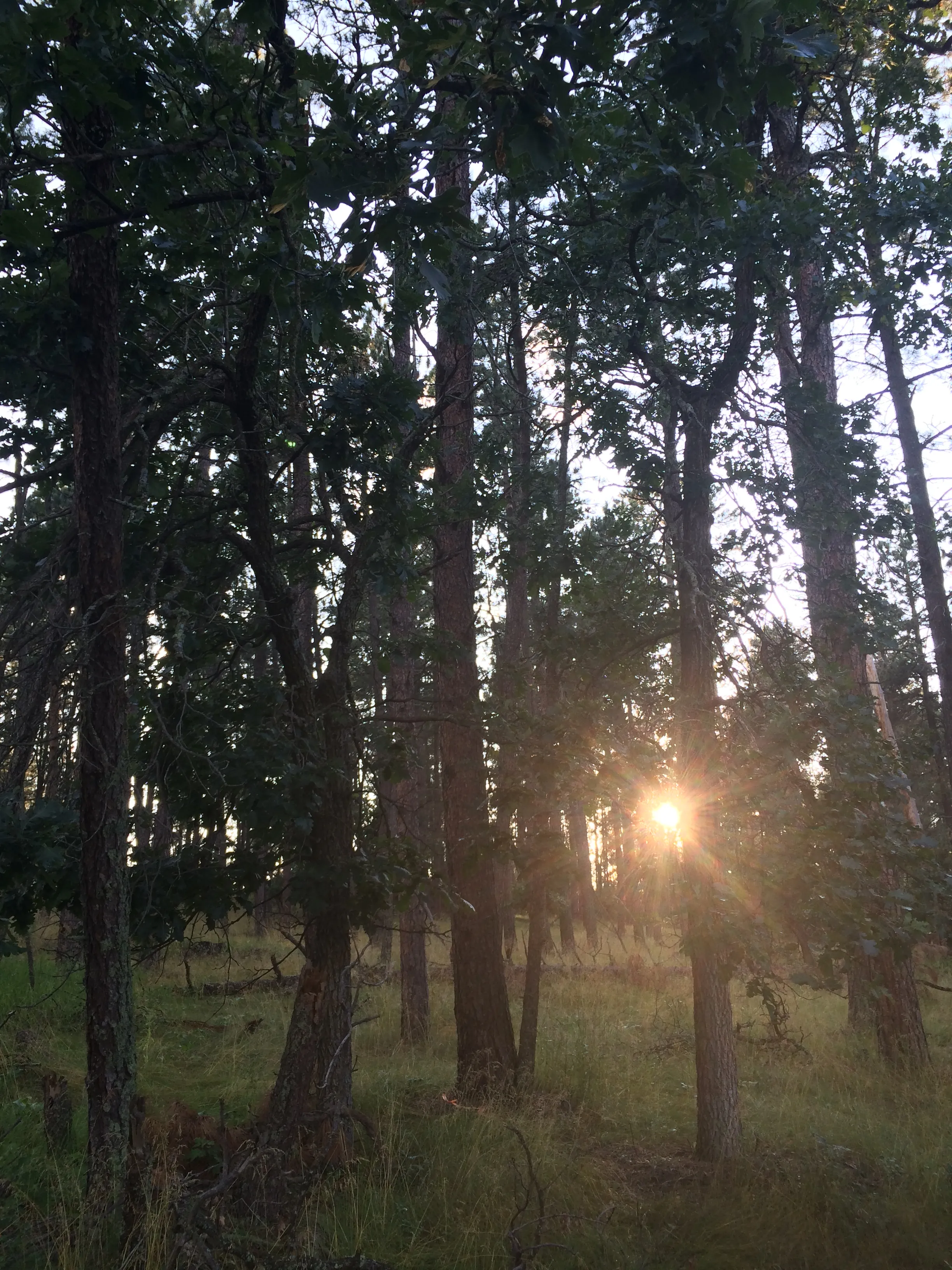 Explore the Spokane Ghost Town