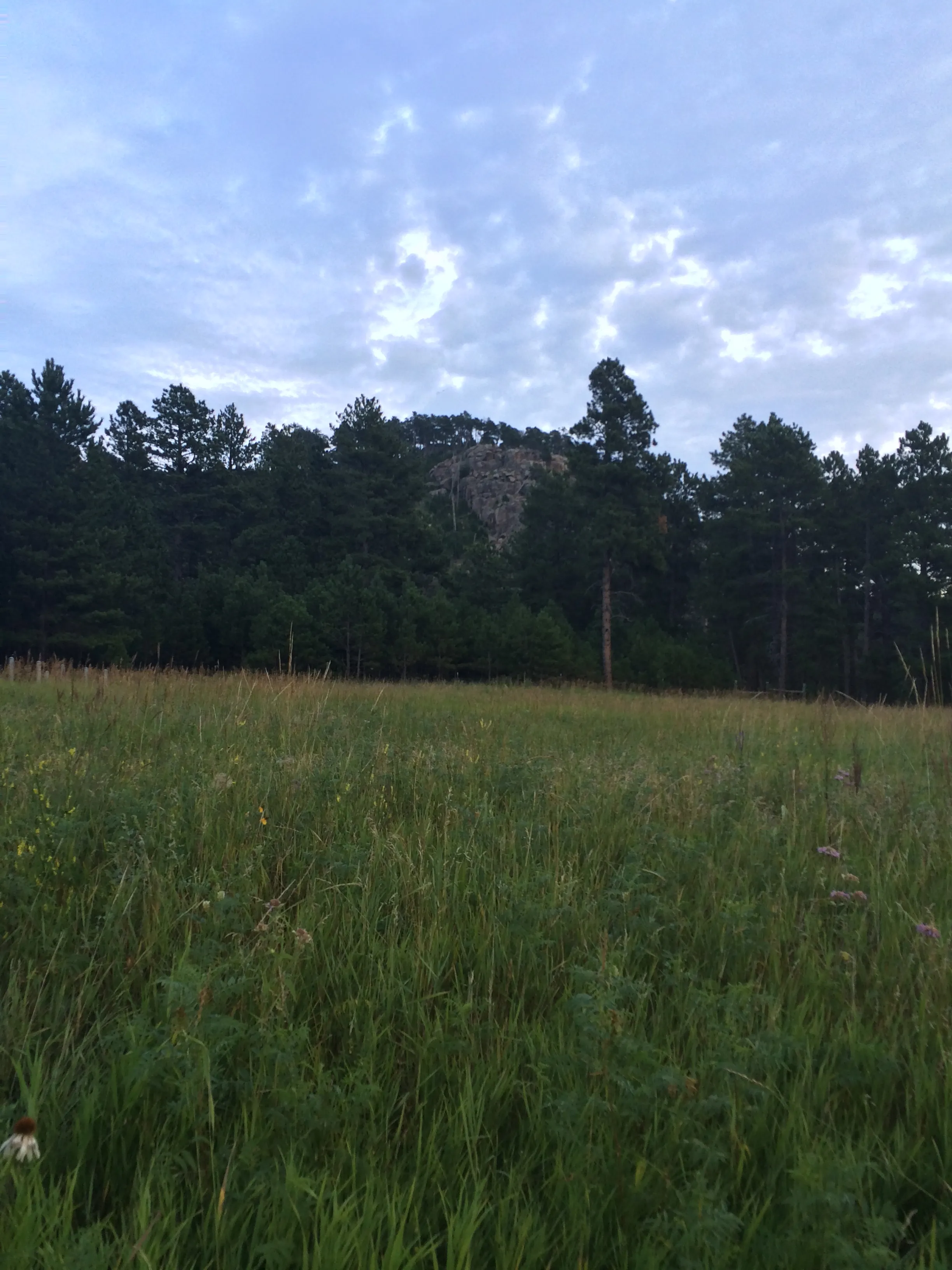 Explore the Spokane Ghost Town