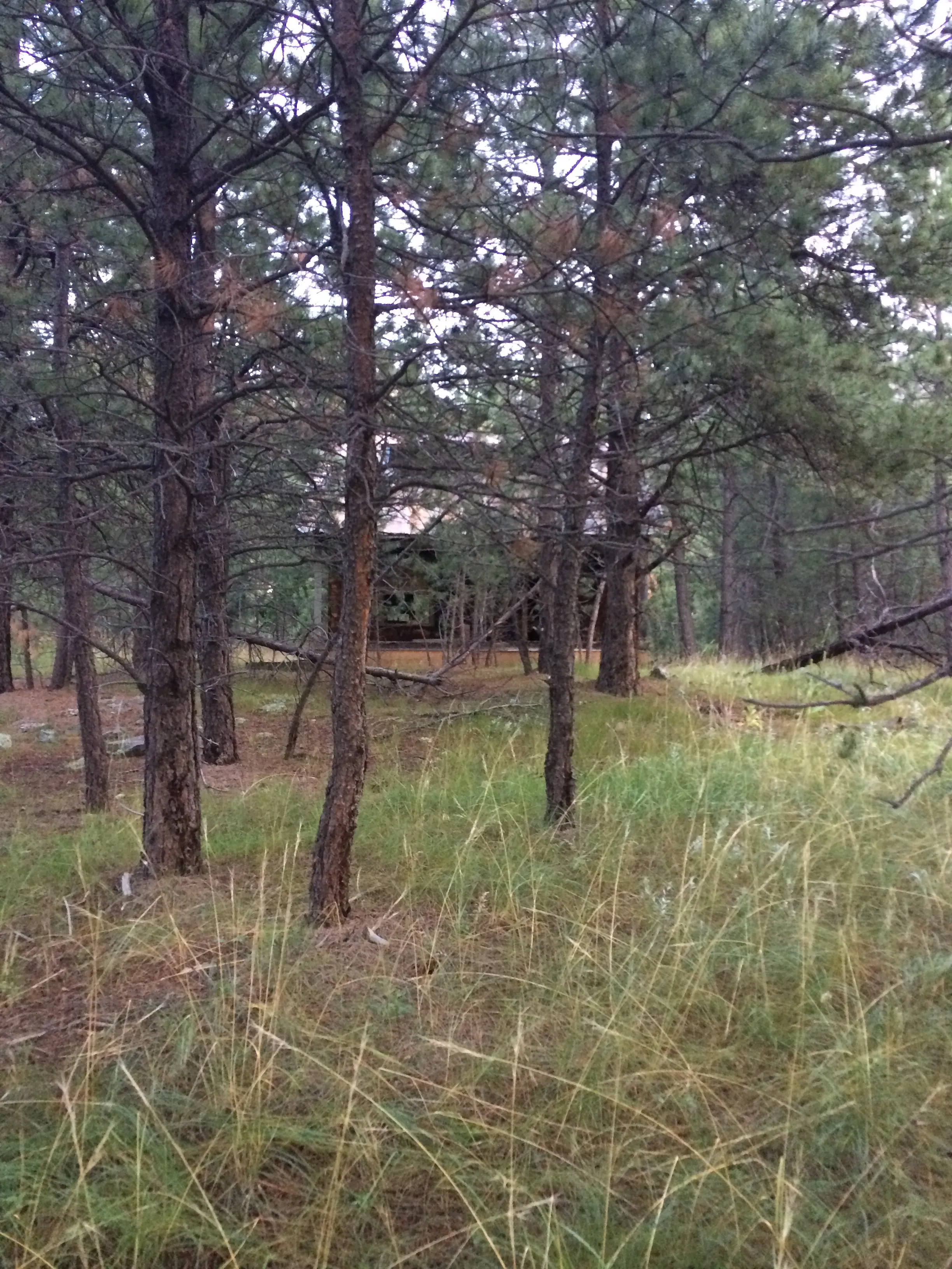 Explore the Spokane Ghost Town