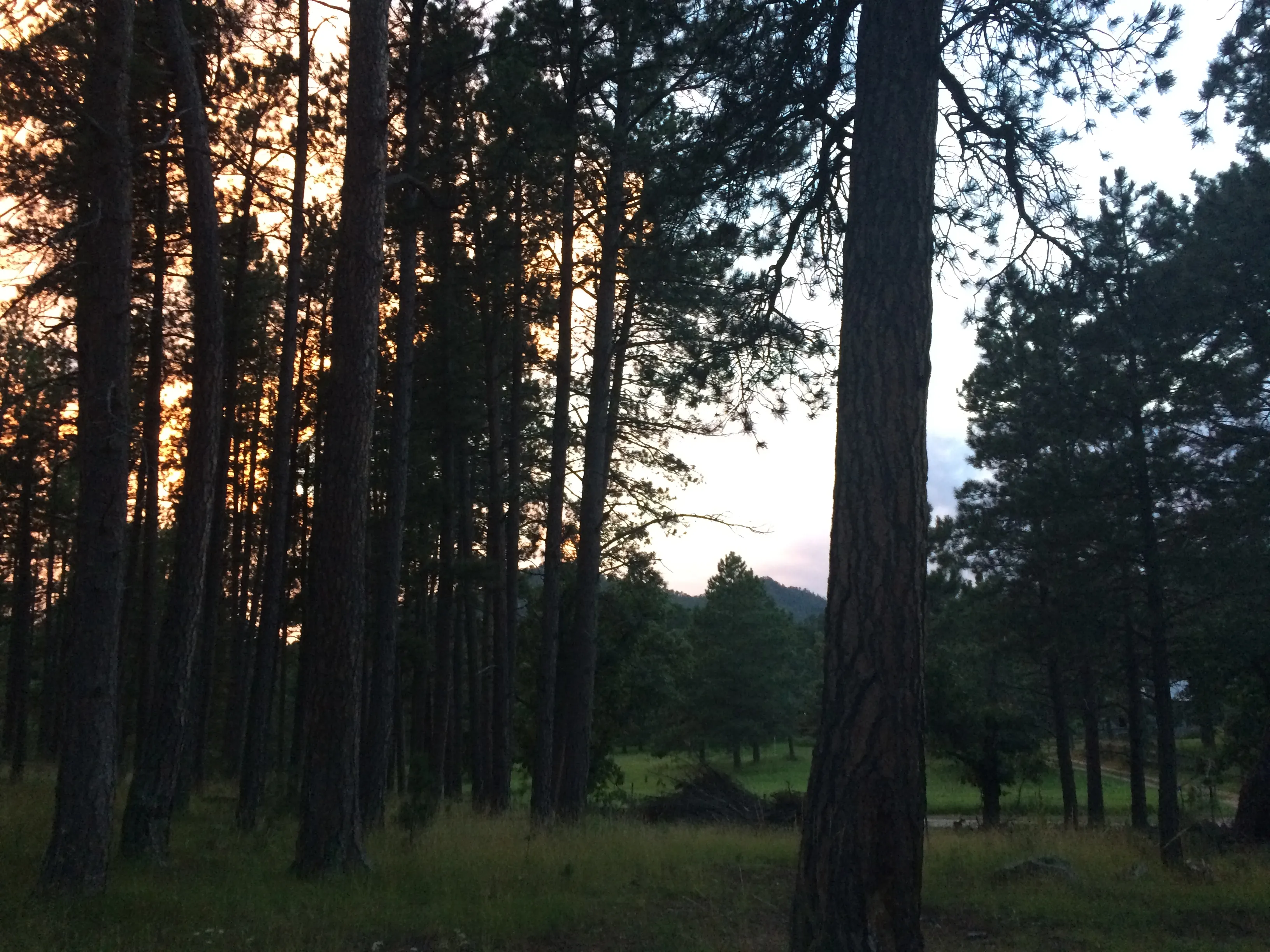Explore the Spokane Ghost Town
