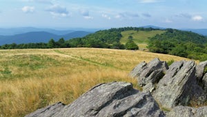 Hike the Bluff Mountain Trail