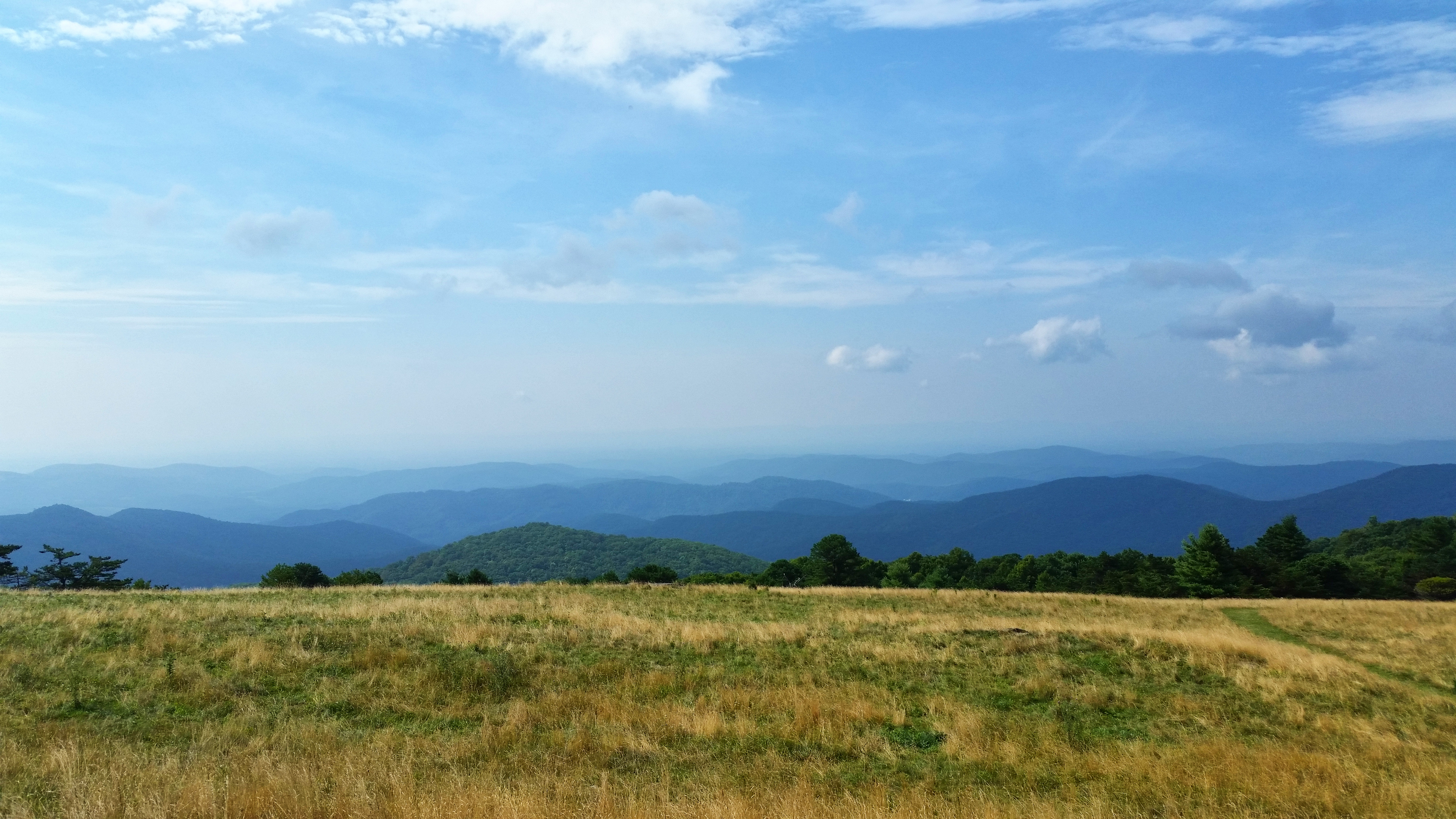 Bluff Mountain Trail