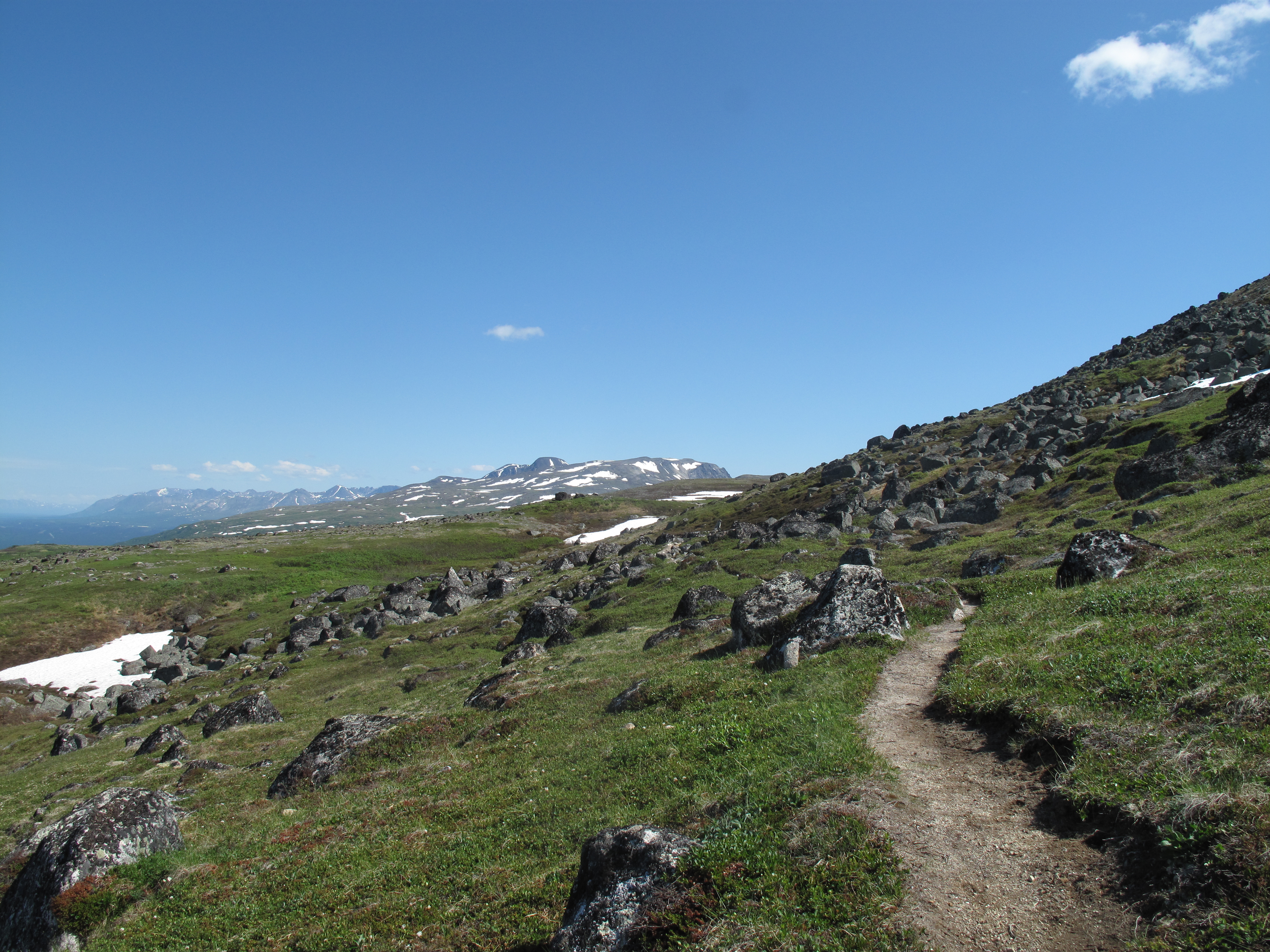 Backpack Kesugi Ridge