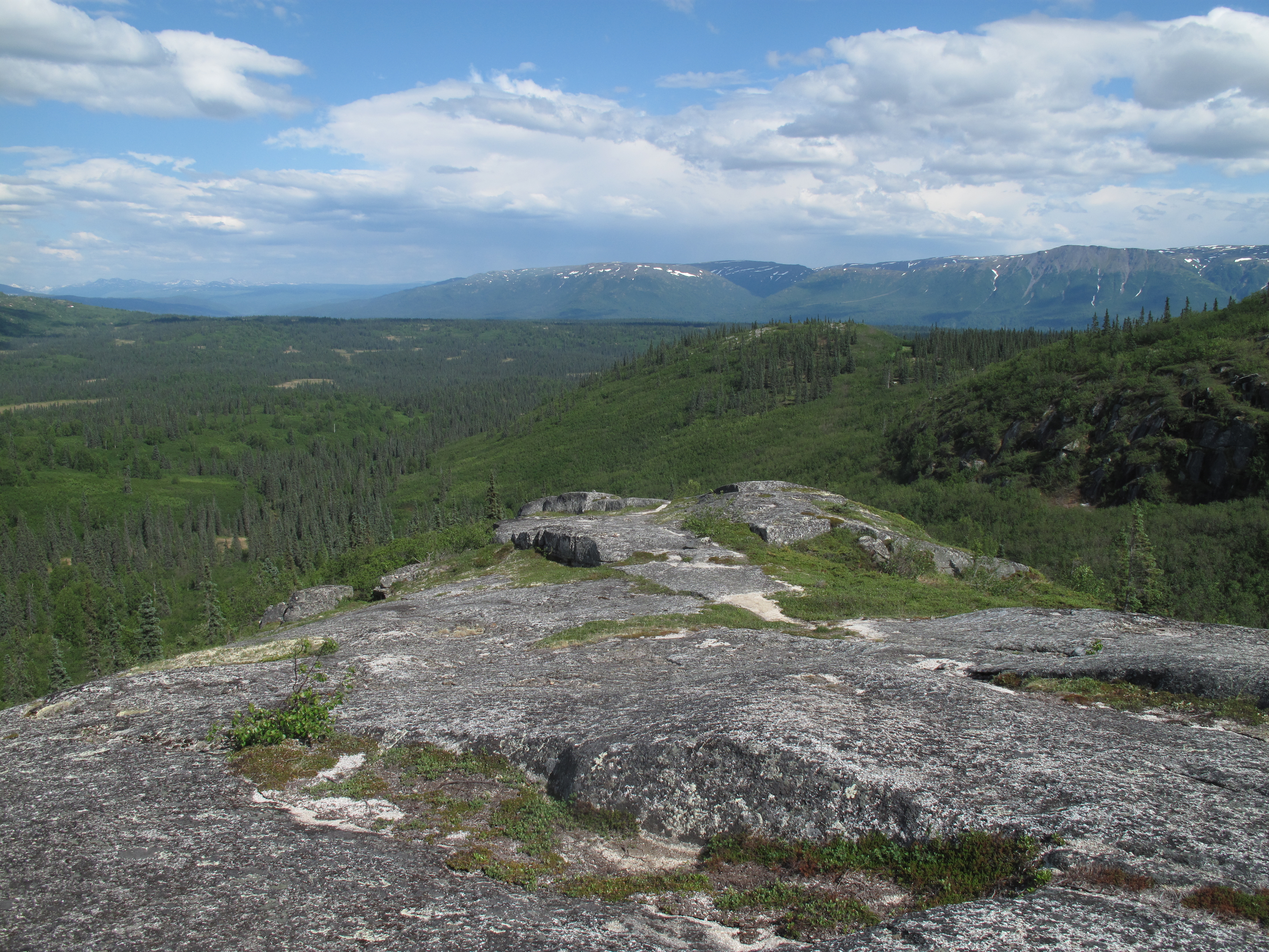 Backpack Kesugi Ridge