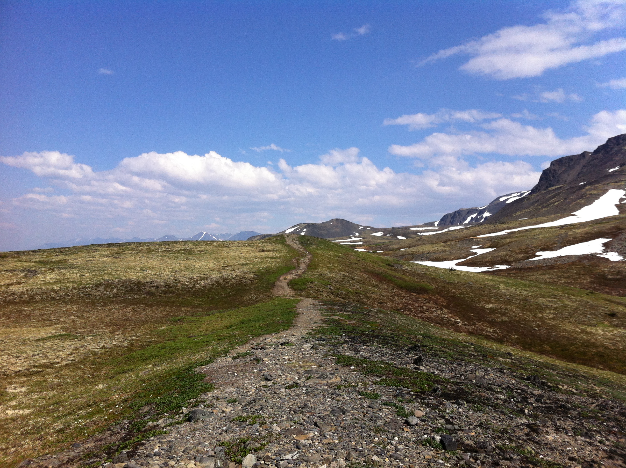 Backpack Kesugi Ridge