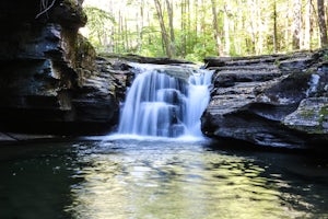 Hike to Mill Creek Falls in the Loyalsock State Forest