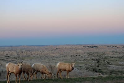 Photograph the Sunrise at Badlands NP