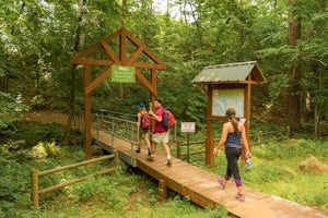 Hike through Hurricane Creek Park