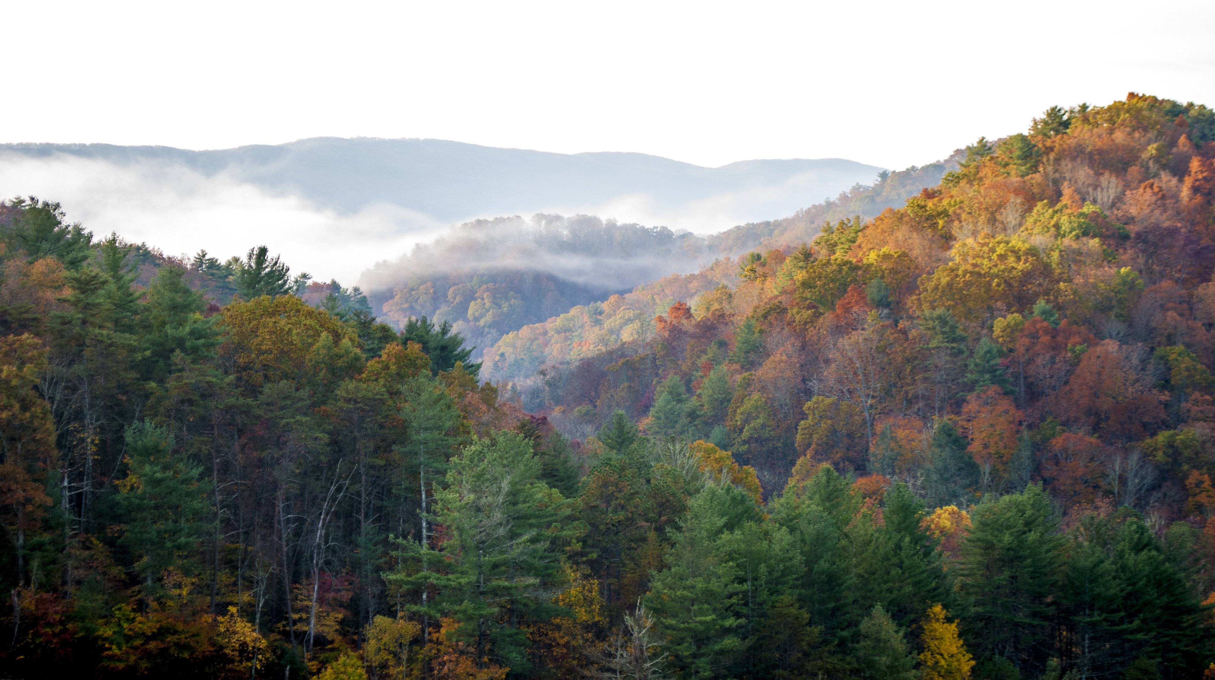 Explore the South Holston Dam