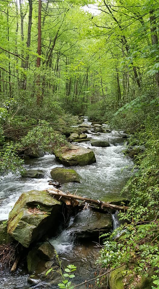 Hike to Jones Gap Falls
